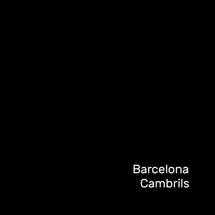 Anduluplandu | barcelona i cambrils